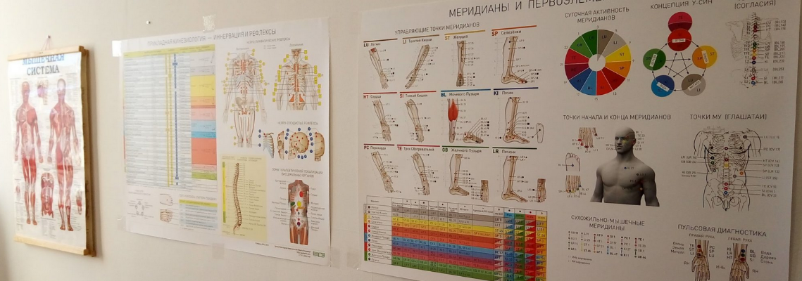 [kinesio.space] Плакат _Иннервация и Рефлексы_ (20_0.png